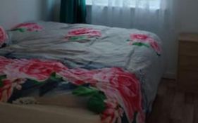Veggie Single Room In 2 Bed Flat, Close To Nec